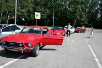 ShowCars (4)